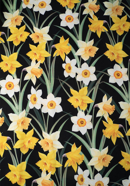 Daffodil 2025 print dress